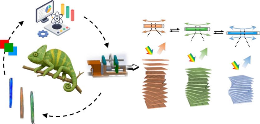 camouflage-fibers.jpg