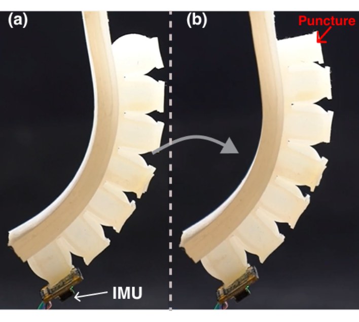puncture-detection.jpg
